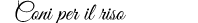 Coni per il riso